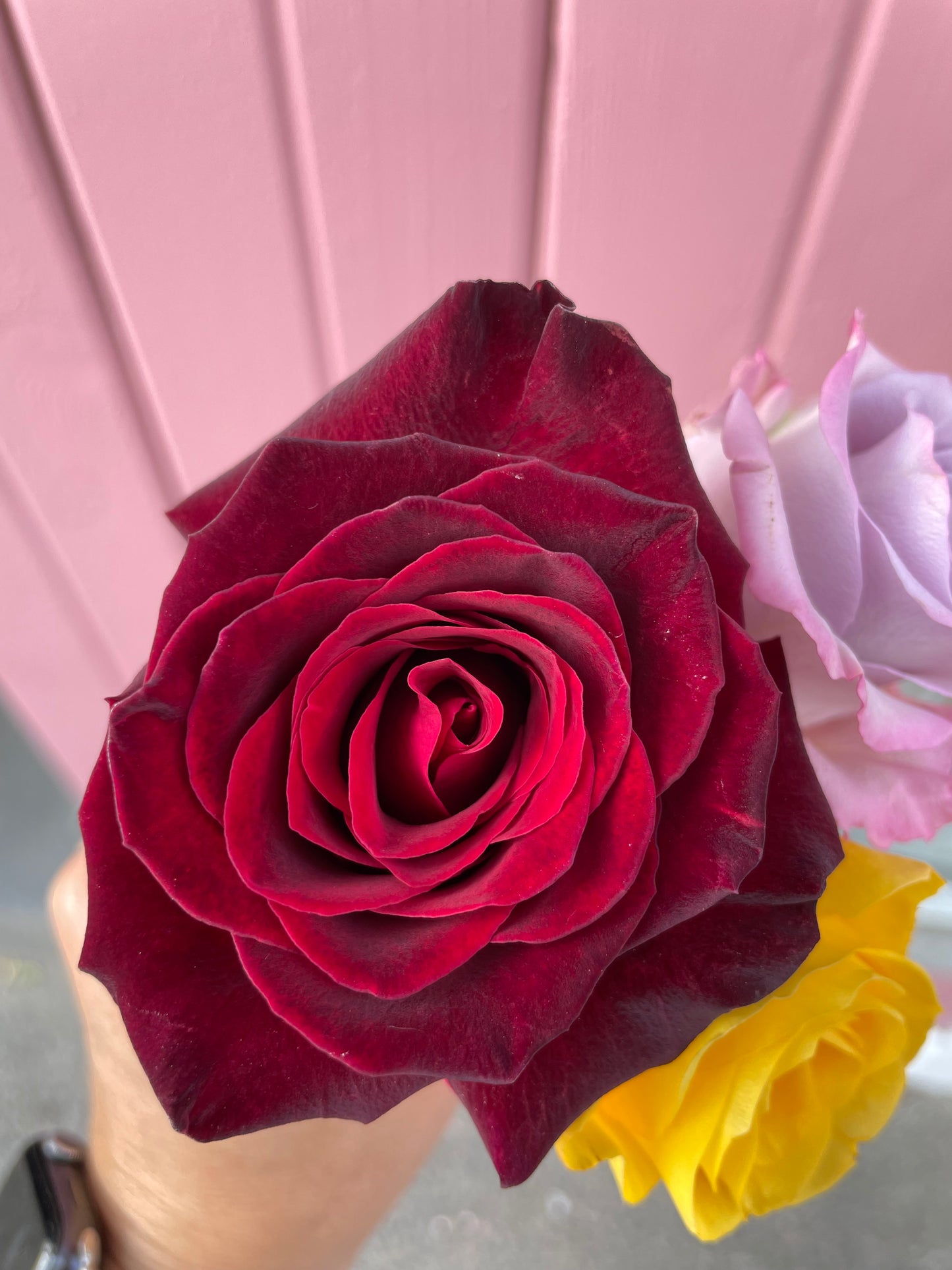 The Saint Rose Arrangement (rose bouquets)