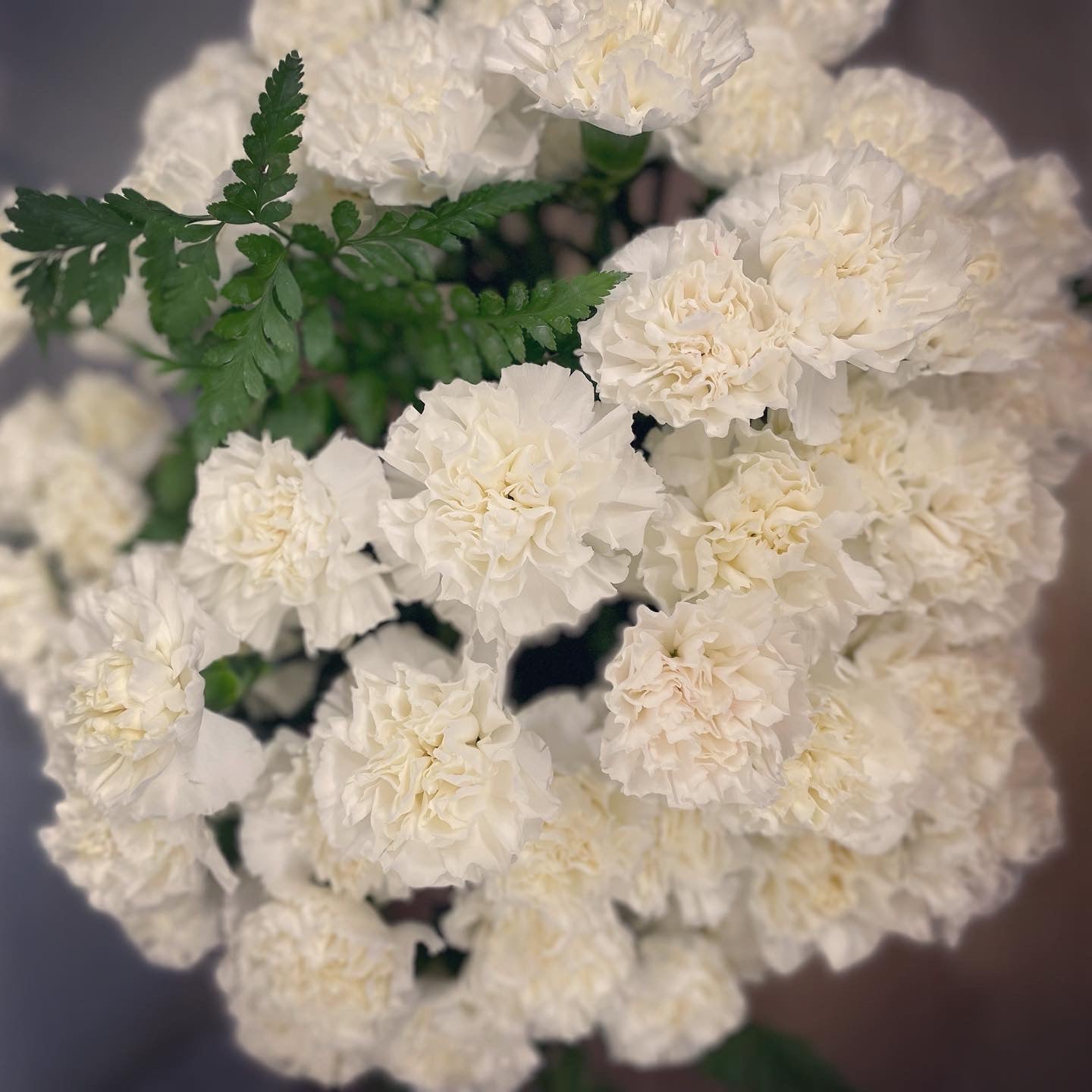 The ‘What In Carnation’ Arrangement (carnation bouquets)