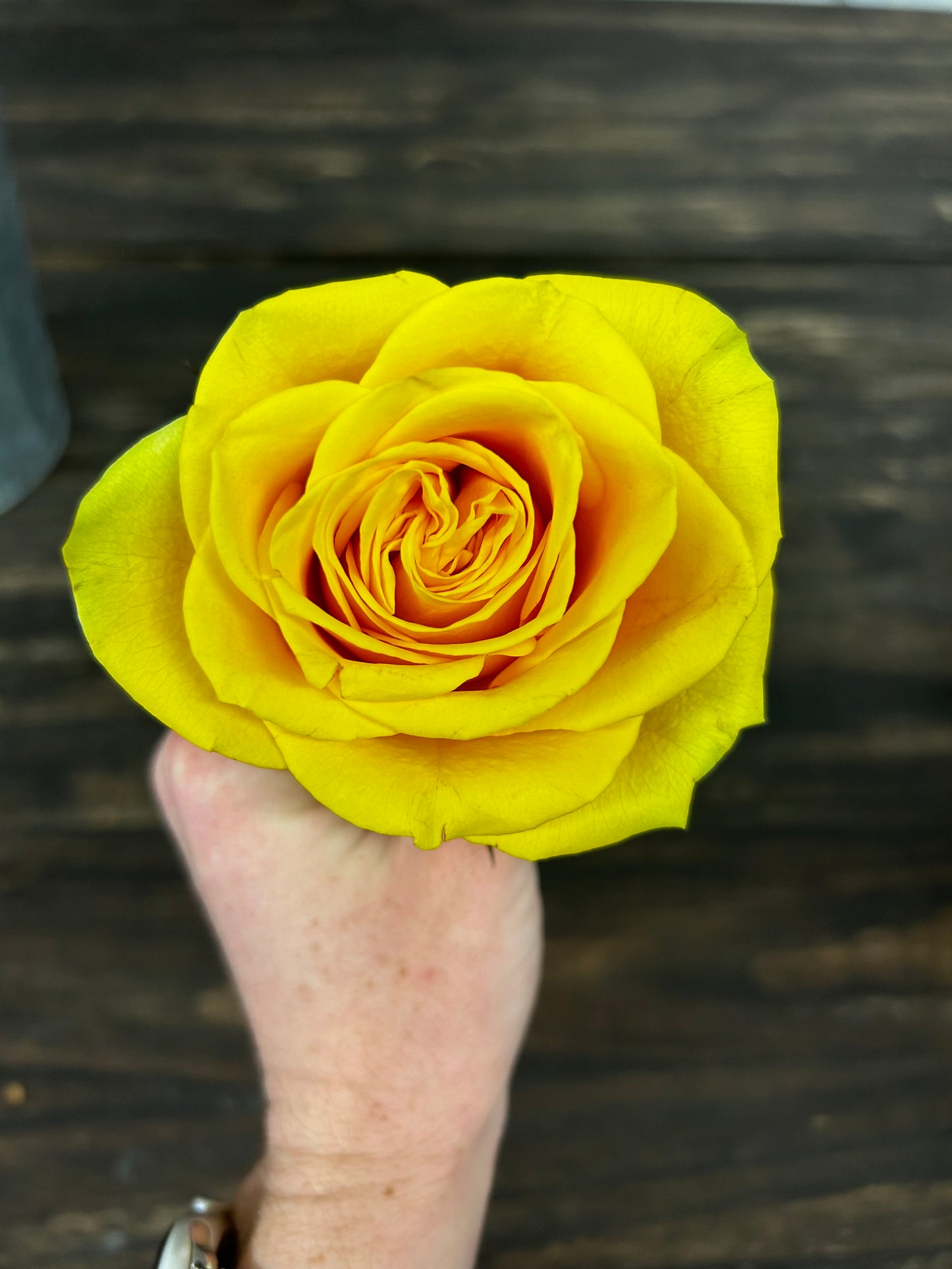 The Saint Rose Arrangement (rose bouquets)