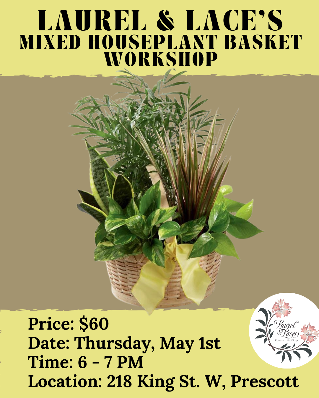 Mixed Houseplant Basket Workshop