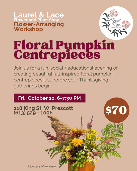 Pumpkin Floral Centrepiece Workshop