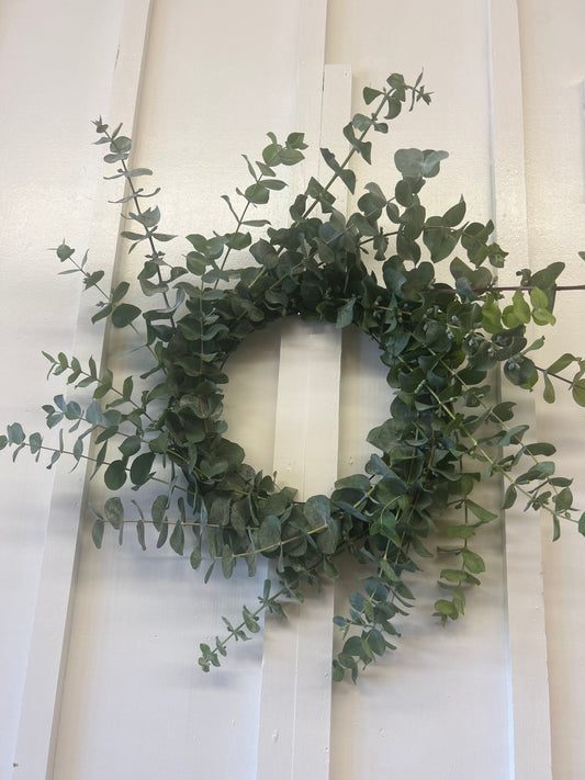 Fresh Live Eucalyptus Wreath