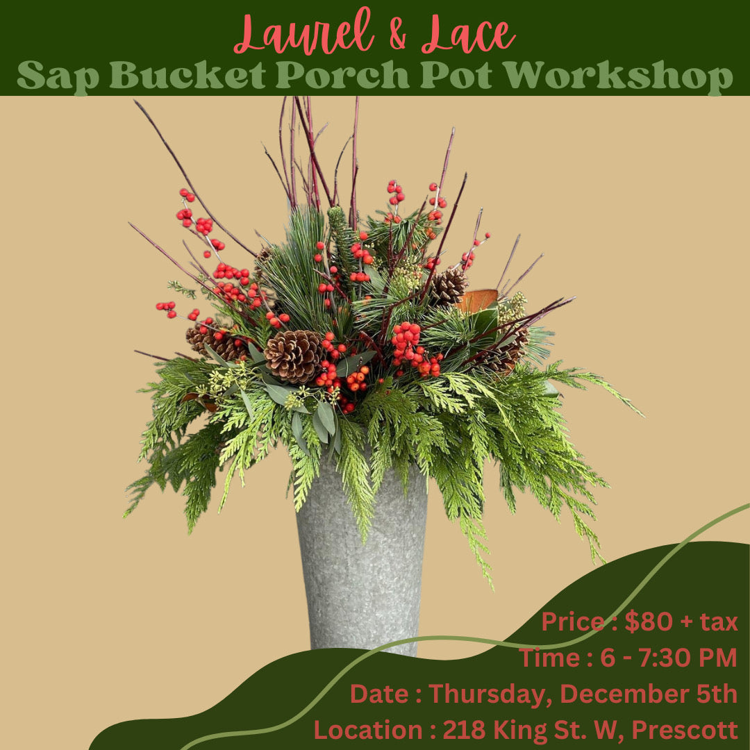 Winter Sap Bucket ‘Porch Pot Arrangement’ Workshop