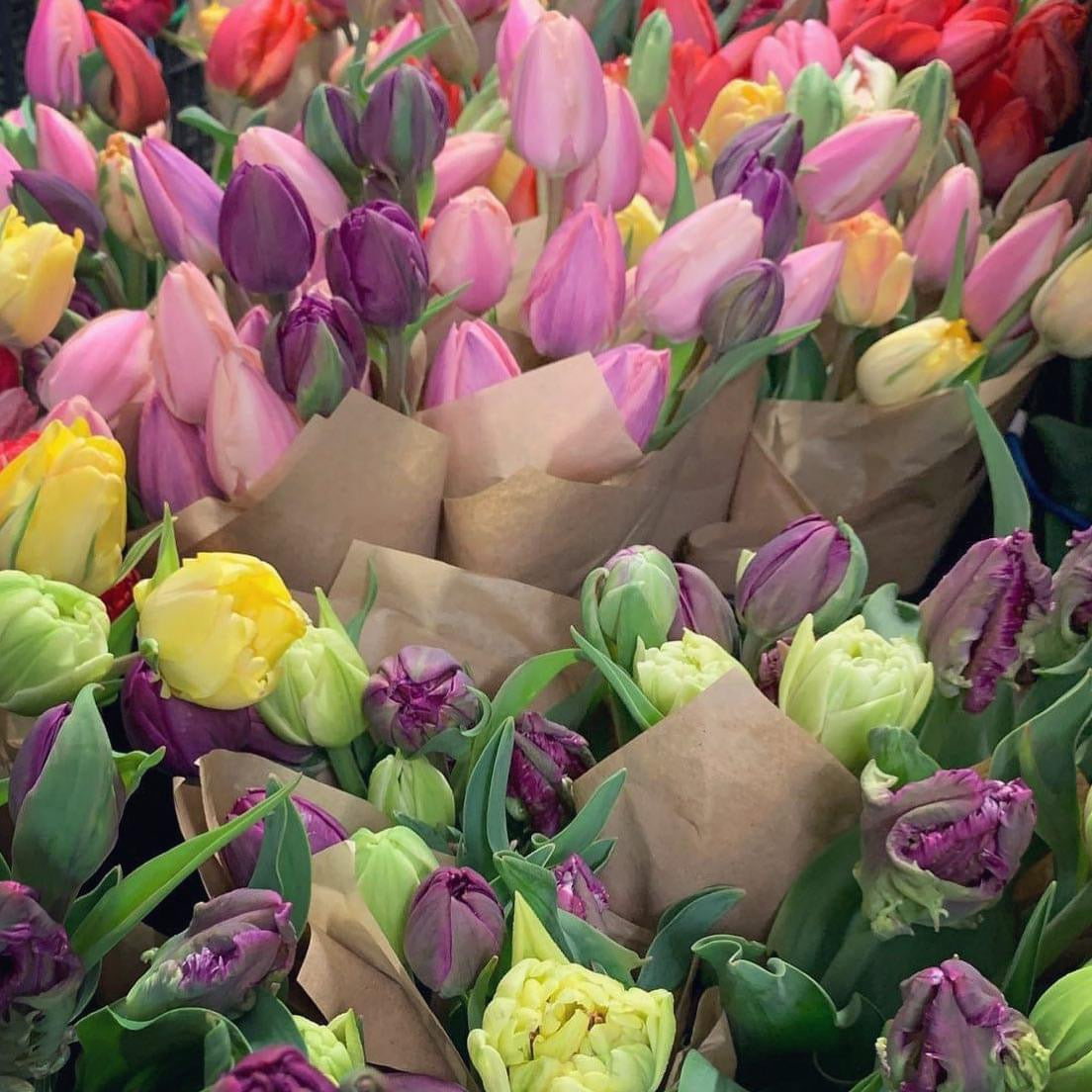 Tulip Bunches (Flowers of the Field)