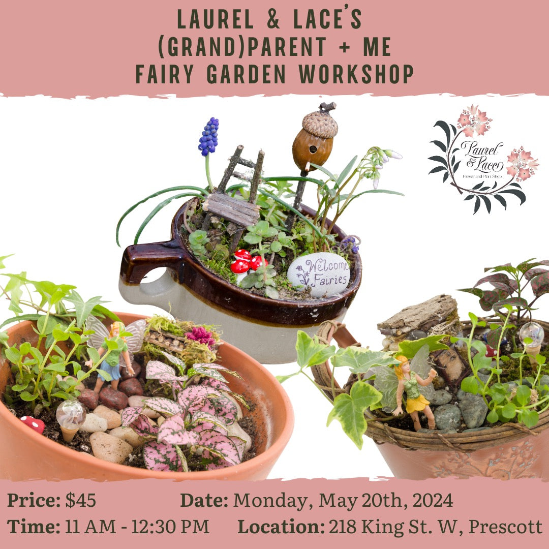 (Grand)Parent + Me Fairy Garden Workshop