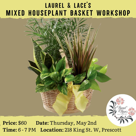 Mixed Houseplant Basket Workshop